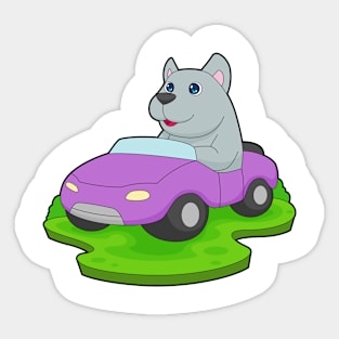 Dog Car Sticker